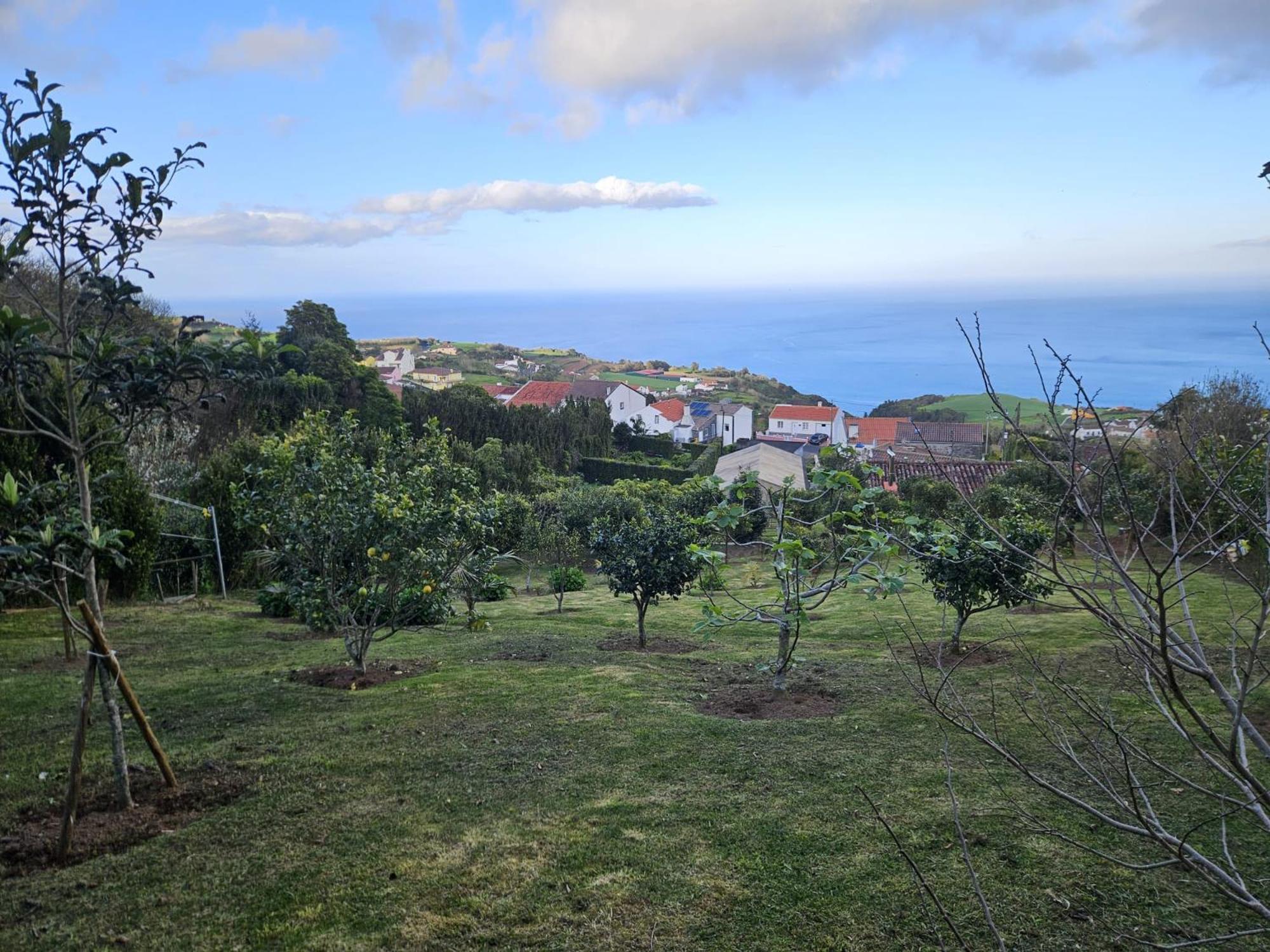 Casa do Castanheiro - Nordeste, Açores Nordeste  Exterior foto