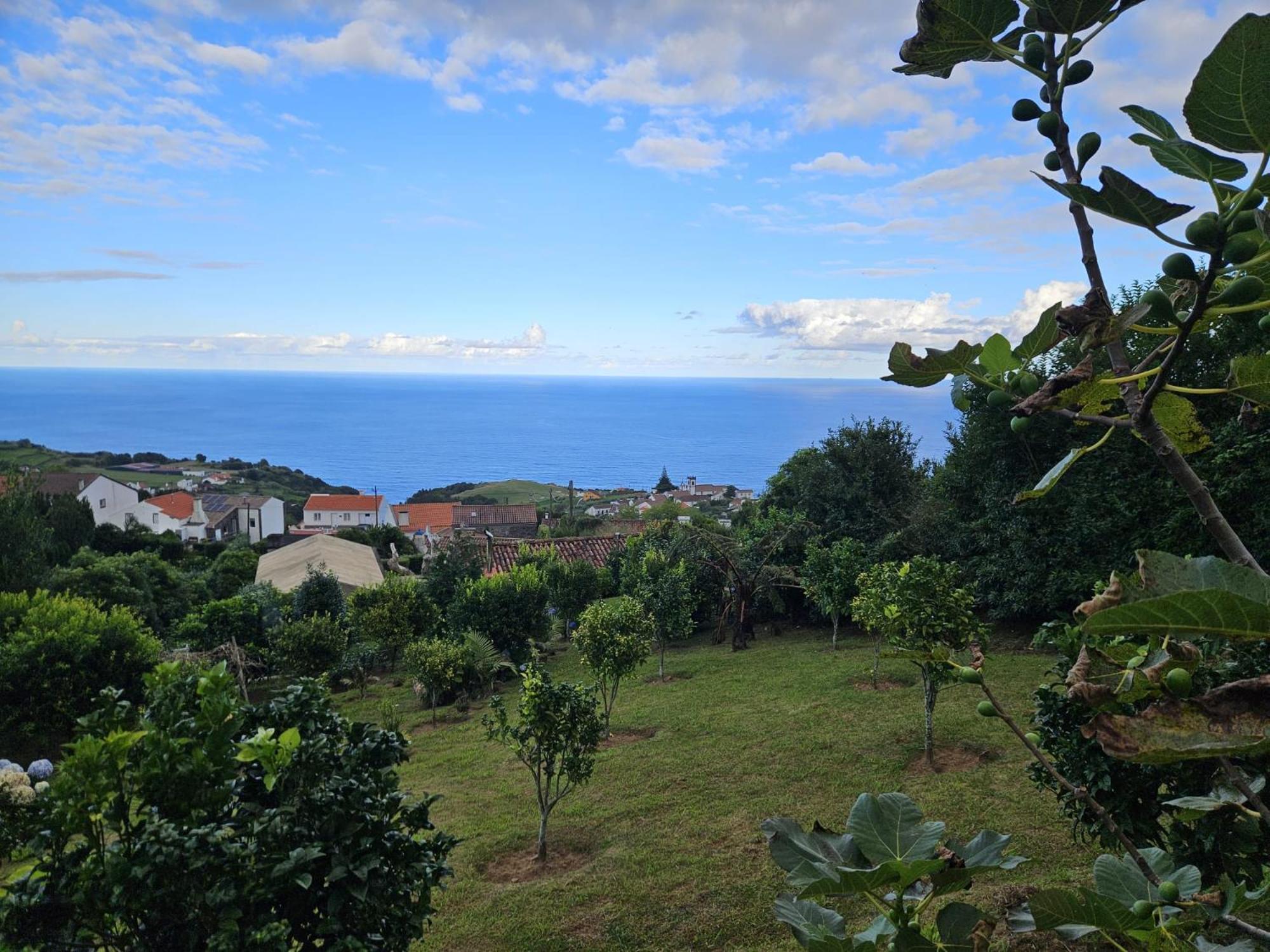 Casa do Castanheiro - Nordeste, Açores Nordeste  Exterior foto